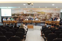Sessões Ordinária e Extraordinária